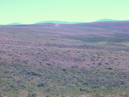 Looking at our back trail (south from Middlewood Pass).